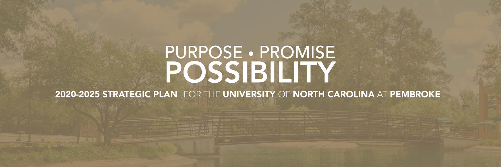 UNCP&#039;s Strategic Plan 2020-2025: Purpose. Promise. Possibility.