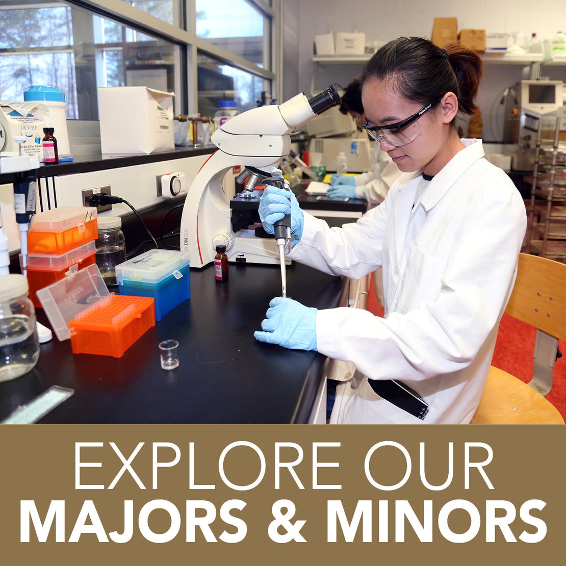 Explore our majors &amp; minors!